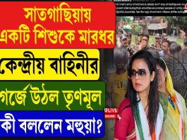 সাতগাছিয়ায় একটি শিশুকে মারধর কেন্দ্রীয় বাহিনীর, কী বললেন মহুয়া?