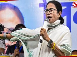 ‘আমার গাড়ির কাছেও এসেছিল কেন্দ্রীয় বাহিনী’, বললাম চেক করো’, বিস্ফোরক অভিযোগ মমতার