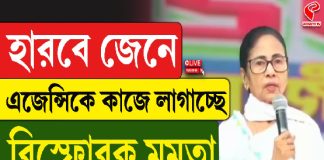 হারবে জেনে এজেন্সিকে কাজে লাগাচ্ছে, বিস্ফোরক মমতা