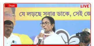 বার্নল-বোরোলিন কমিশন লাগাবে, ‘আইসক্রিম দেব’ বলছেন মমতা