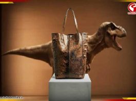 ডাইনোসরের চামড়ার আদলে তৈরি হ্যান্ডব্যাগ! দাম শুনলে চমকে উঠবেন…