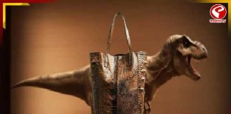 ডাইনোসরের চামড়ার আদলে তৈরি হ্যান্ডব্যাগ! দাম শুনলে চমকে উঠবেন…