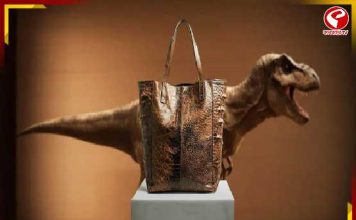 ডাইনোসরের চামড়ার আদলে তৈরি হ্যান্ডব্যাগ! দাম শুনলে চমকে উঠবেন…
