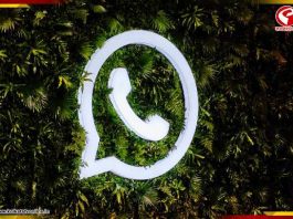 ডিপি না থাকলেও দেখা যাবে ছবি! হোয়াটসঅ্যাপে আসছে নতুন ফিচার