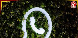 ডিপি না থাকলেও দেখা যাবে ছবি! হোয়াটসঅ্যাপে আসছে নতুন ফিচার