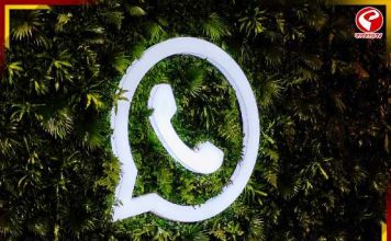 ডিপি না থাকলেও দেখা যাবে ছবি! হোয়াটসঅ্যাপে আসছে নতুন ফিচার