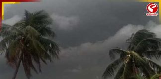 মঙ্গলেও কালবৈশাখীর দাপট, ঝড়-বৃষ্টিতে স্বস্তির ইঙ্গিত দক্ষিণবঙ্গে