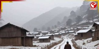 ভূতের গ্রাম প্লাকলি! রাত নামলেই শোনা যায় খুরের শব্দ…