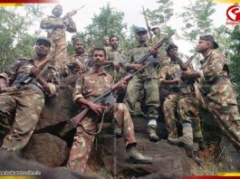 ভোটের আগে কলকাতায় অস্ত্র-নগদের পাহাড়! STF-এর জালে পাচারচক্র