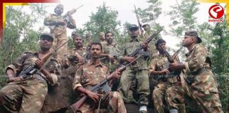 ভোটের আগে কলকাতায় অস্ত্র-নগদের পাহাড়! STF-এর জালে পাচারচক্র