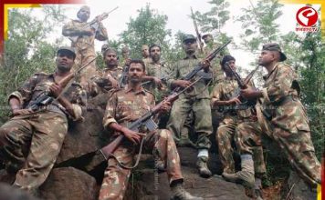 ভোটের আগে কলকাতায় অস্ত্র-নগদের পাহাড়! STF-এর জালে পাচারচক্র