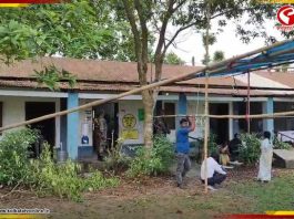 নাগরাকাটায় উৎসবের ছোঁয়ায় ভোট! ভোর থেকেই লম্বা লাইন, কড়া নিরাপত্তায় শান্তিপূর্ণ নির্বাচন