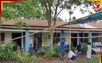 নাগরাকাটায় উৎসবের ছোঁয়ায় ভোট! ভোর থেকেই লম্বা লাইন, কড়া নিরাপত্তায় শান্তিপূর্ণ নির্বাচন