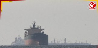 হরমুজ পার করে ভারত থেকে আমিরশাহীর দিকে জাহাজ