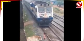 ট্রেনের ধাক্কায় ভয়াবহ ঘটনা ঘটতে পারত! শিশুর প্রাণ বাঁচাল গরু, ভাইরাল ভিডিও