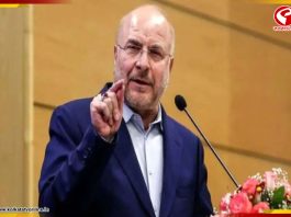 ‘ইরান নিয়ে ট্রাম্পের সব দাবি মিথ্যা, সমঝোতা সহজ নয়’ বিস্ফোরক গালিবাফ