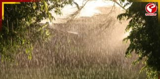 ভোটের উত্তাপের সঙ্গে পাল্লা দিয়ে বাড়ছে অস্বস্তিকর গরম, বৃষ্টির পূর্বাভাস