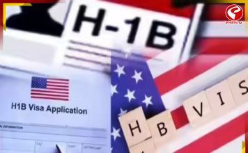 এইচ-১বি ভিসা তিন বছরের জন্য স্থগিত রাখার আবেদনে বিল পেশ, কতটা চাপে পড়বে ভারতীয়রা?