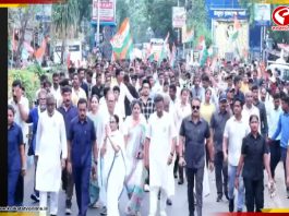 শেষ লগ্নের প্রচারে কলকাতার রাজপথে মমতা, তৃণমূলের মেগা র্যালি ঘিরে জনসমুদ্র