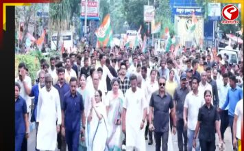 শেষ লগ্নের প্রচারে কলকাতার রাজপথে মমতা, তৃণমূলের মেগা র্যালি ঘিরে জনসমুদ্র