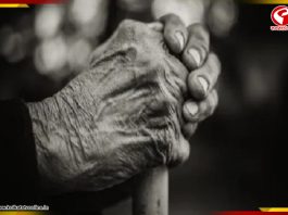 রাজ্যে শতায়ু ভোটারের সংখ্যা ৩২৪৩ , জানেন সবচেয়ে বেশি আর কম কোন জেলায়?