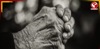 রাজ্যে শতায়ু ভোটারের সংখ্যা ৩২৪৩ , জানেন সবচেয়ে বেশি আর কম কোন জেলায়?