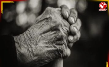 রাজ্যে শতায়ু ভোটারের সংখ্যা ৩২৪৩ , জানেন সবচেয়ে বেশি আর কম কোন জেলায়?