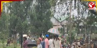 মে দিবস, বুদ্ধ পূর্ণিমার জন্য একদিন ছুটি ঘোষণা, ক্ষোভে ফুঁসছে আলিপুরদুয়ারের চা শ্রমিকেরা