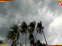 ফের বৃষ্টিতে ভিজবে দক্ষিণবঙ্গ? নাকি বাড়বে গরম?