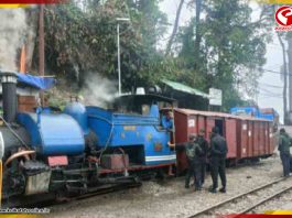 এবার গোটা টয়ট্রেনকে ভাড়া করতে পারবেন! দুর্দান্ত পরিষেবা দার্জিলিং-এ