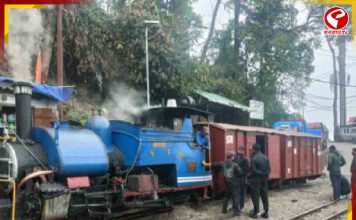 এবার গোটা টয়ট্রেনকে ভাড়া করতে পারবেন! দুর্দান্ত পরিষেবা দার্জিলিং-এ