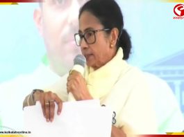 ‘আমাকে ‘কব্জা’ করার চেষ্টা করা হয়েছিল কিন্তু পারেনি’, বললেন মুখ্যমন্ত্রী