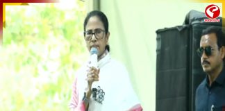 আইপ্যাকের কাজ বন্ধের খবর রটতেই কী বললেন মমতা?