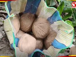 দ্বিতীয় দফার আগে ফের ভাঙড়ে উদ্ধার তাজা বোমা! চাঞ্চল্য এলাকায়