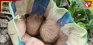 দ্বিতীয় দফার আগে ফের ভাঙড়ে উদ্ধার তাজা বোমা! চাঞ্চল্য এলাকায়