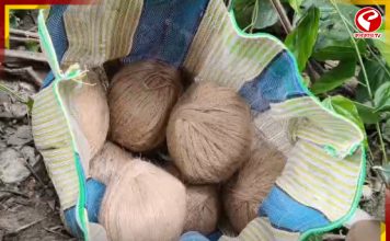 দ্বিতীয় দফার আগে ফের ভাঙড়ে উদ্ধার তাজা বোমা! চাঞ্চল্য এলাকায়