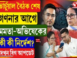 ভার্চুয়াল বৈঠক শেষ, গণনার আগে মমতা-অভিষেকের কী কী নির্দেশ?