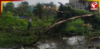 ঘূর্ণিঝড়ে লন্ডভন্ড সন্দেশখালির একাধিক এলাকা, ক্ষতিগ্রস্ত ঘরবাড়ি