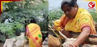 অবৈধ গরু পাচার রুখে দিলেন রেখা পাত্র! হিঙ্গলগঞ্জের ফেরিঘাটে কী করলেন বিজেপি বিধায়ক? দেখুন বড় খবর