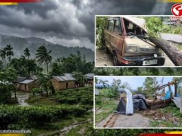 কালবৈশাখীর তাণ্ডবে উপড়ে পড়ল গাছ! বিদ্যুৎ বিচ্ছিন্ন ডুয়ার্সে এখন কী অবস্থা? দেখুন বড় খবর