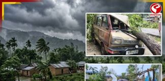 কালবৈশাখীর তাণ্ডবে উপড়ে পড়ল গাছ! বিদ্যুৎ বিচ্ছিন্ন ডুয়ার্সে এখন কী অবস্থা? দেখুন বড় খবর