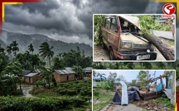 কালবৈশাখীর তাণ্ডবে উপড়ে পড়ল গাছ! বিদ্যুৎ বিচ্ছিন্ন ডুয়ার্সে এখন কী অবস্থা? দেখুন বড় খবর