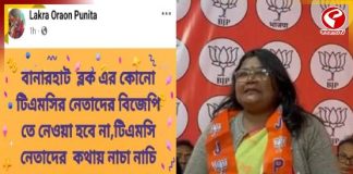 ‘তৃণমূলেরর কথায় নাচানাচি করলে পার্টি ব্যবস্থা নেবে,’ বিজেপি নেত্রীর ফতোয়ায় সরগরম রাজনীতি