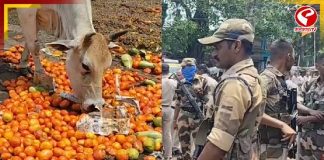 শিল্পনগরীর মার্কেটে দুষ্কৃতীদের তাণ্ডব! রাস্তায় ফেলে দেওয়া হলো সবজি, এখন কী অবস্থা?