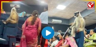 সরকারি ওয়ার্কশপে বাঁদরের বাঁদরামি! ভিডিও দেখলে হেসে গড়াগড়ি খাবেন আপনিও