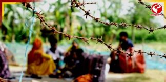 শুনশান হাকিমপুর চেকপোস্ট! শাহি ঘোষণার পরেই বদলাচ্ছে বাংলাদেশ বর্ডারের ছবি?