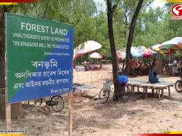শান্তিনিকেতনে সোনাঝুরি হাটে চলল বুলডোজার, উপড়ে ফেলা হল হোটেল, রিসোর্ট