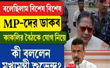 বলেছিলাম বিশেষ বিশেষ MP-কে ডাকা হবে, কাকলির বৈঠকে যোগ নিয়ে কী বললেন মুখ্যমন্ত্রী?