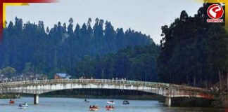 কাশ্মীর না গিয়েও শিকারায় ভ্রমণ! এবার মিরিকেই মিলবে ‘ডাল লেক’-এর স্বাদ