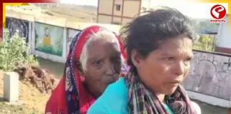 ৯ কিমি পথ, কাঁধে ৯০ বছরের শাশুড়ি! পেনশন তুলতে বউমার লড়াই ঘিরে ভাইরাল ভিডিও